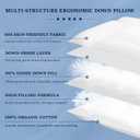 Goose Down Pillows for Sleeping Cervical Neck Pain Relief Soft Cotton Cover Ergonomic Multifunctional Partition Side Back Stomach Sleepers Thin Flat Bed Pillow (1, 16.5x26 Inch)