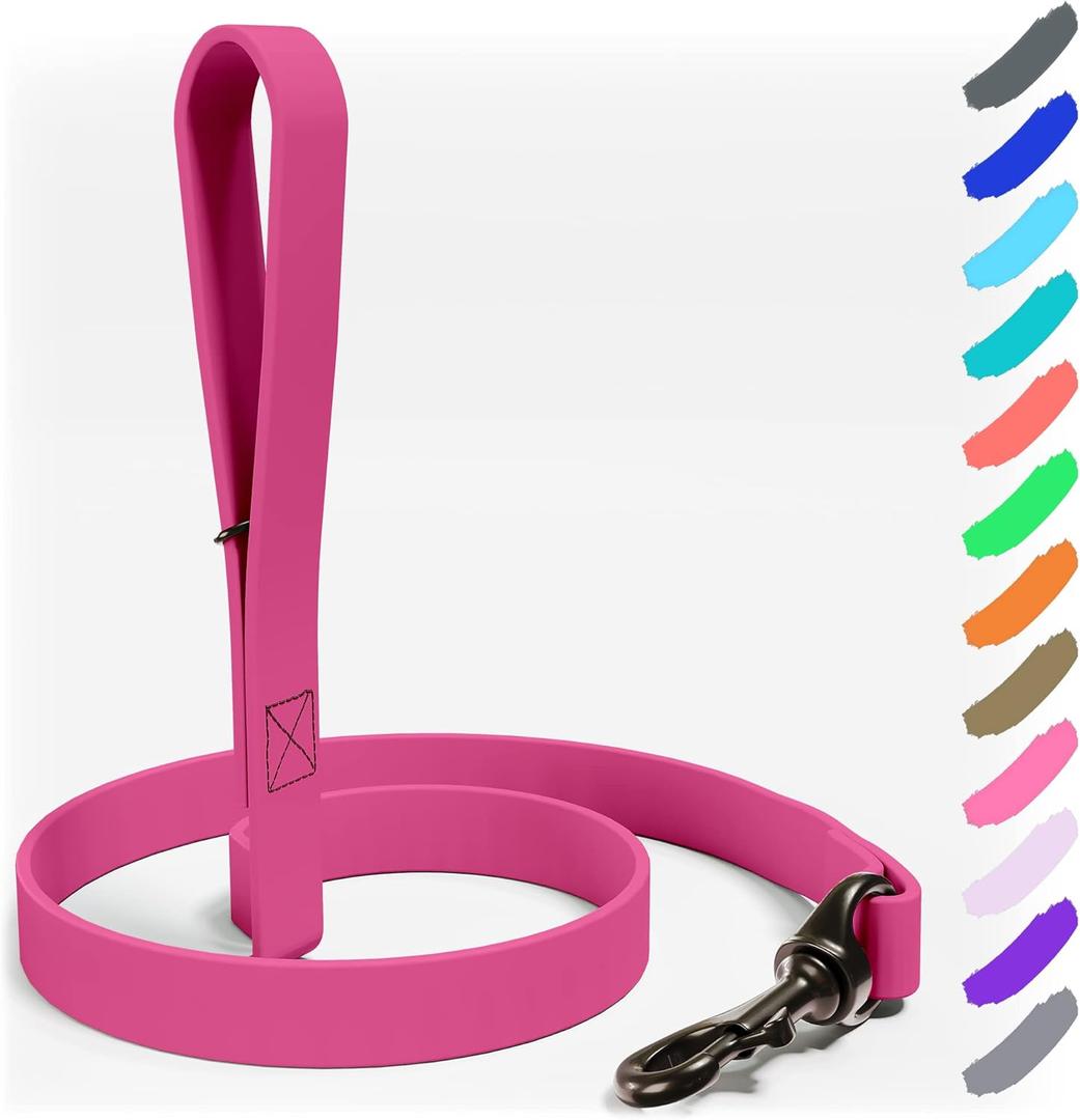 Biothane Dog Leash - Extra Heavy Duty, Made in USA - Waterproof for Large, Medium, Small Dogs - 6 Ft Lead, Strong Coated Nylon Webbing With Brass Carabiner Clip (Pink)