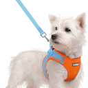 rabbitgoo Dog Harness Small Sized and Leash Set, Step in Soft Light Puppy Vest, Breathable Mesh Pet Harness, Reflective for Safe Easy Walking, Blue & Orange S (S (Chest: 15.1 - 16.5"))