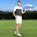 Rouen Polo Shirts for Men Quick Dry Regular Fit Casual Color Block Chest Print Active Short Sleeve Collared Mens Golf Shirt (X-Large, Olive Green)