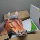 Horse - Life Size Cardboard Cutout Standup People with Support Standee | Animals -1