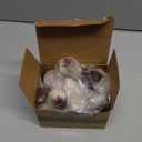 Bearington Lil Cleo Siamese Cat Plush - Cat Stuffed Animal - 8" Siamese Soft Plush Kitty Toy with Realistic Details and Floppy Body for Kids and Toddlers - Adorable Gifts for Kitten Lovers