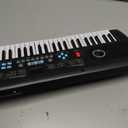 61 key keyboard Piano,Portable Electronic Digital Piano,Built In Dual Speakers,External Microphone,Power Plug,Rich Teaching Content,Multi-Functional Electronic Piano Suitable For Beginners iiw88