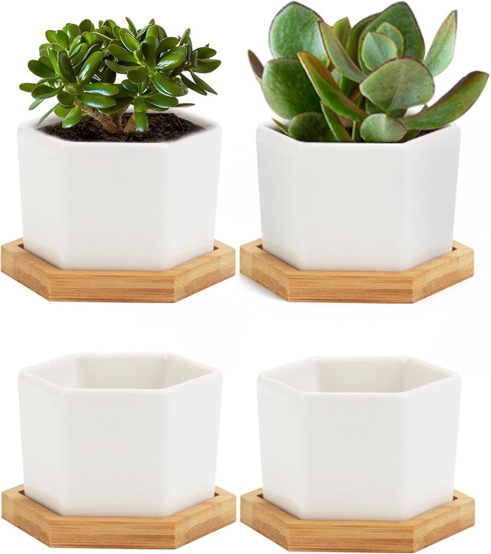 OAMCEG Succulent Pots-4 inch Pots for Plants,4 Pack Small Ceramic Plant Pots,White Succulent Planter with Bamboo Tray- Plants Not Included