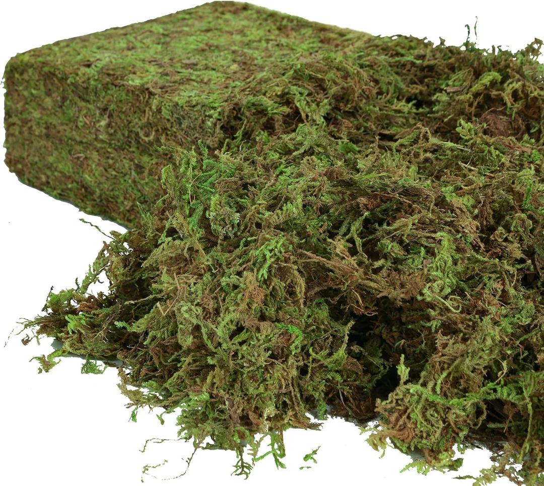 USMOLA Artificial Moss for Indoor Plants, 16OZ Fake Moss for Crafts, Decorative Centerpieces, Fairy Garden, Wedding Party Decor, Faux Potted Plants, 455gr (Natural Green)