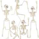 Feir 16" Skeletons Halloween Decorations  5PCS Posable Full Body Skeletons with Movable Joints, Realistic Props for Outdoor Yard, Haunted House, Party & Indoor Halloween Decor