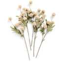 Ling's moment Pompon Mum Artificial Flower, 5pcs Faux Silk Mini Chrysanth with Stems, Bulk Fake Wedding Filler Flowers for DIY Bouquet Centerpieces Arrangements Shower Decorations, Beige