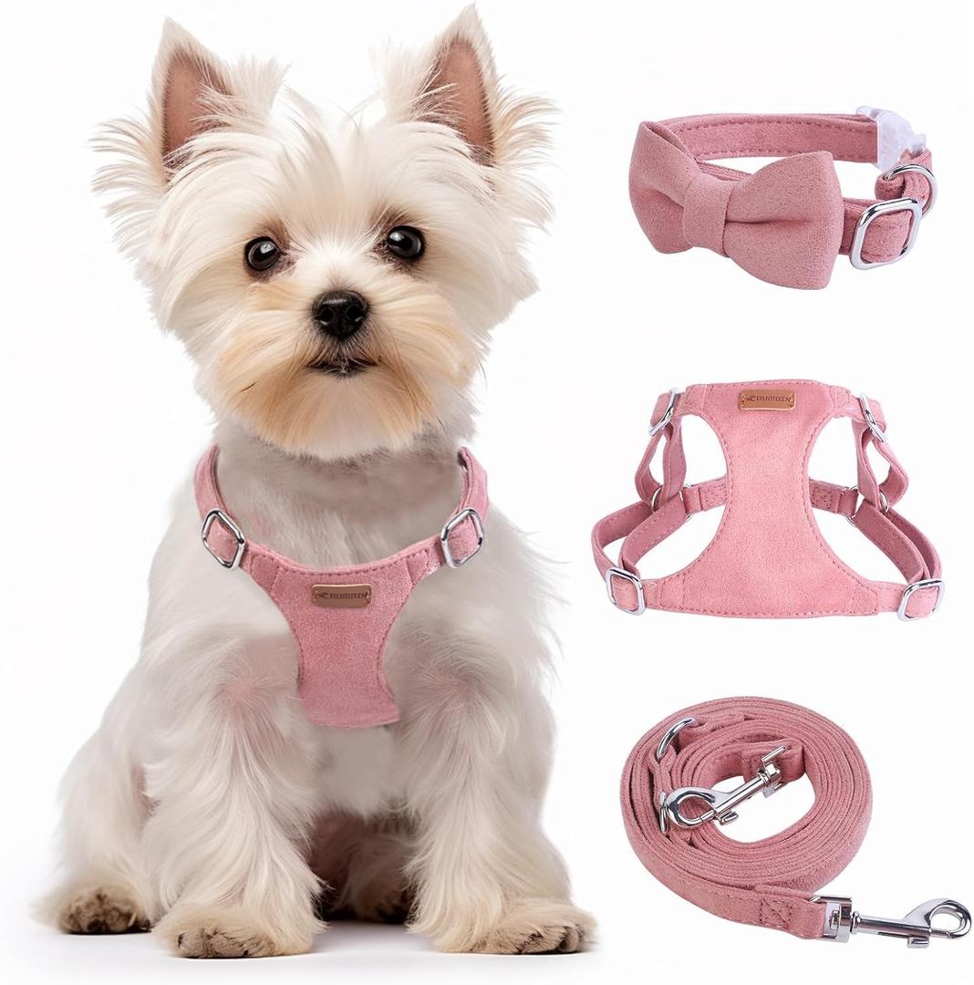 Dog Harness and Leash Set, XXS No Pull Adjustable Puppy Harness with Multifunction Pink Dog Leash and Dog Collar, Soft No Choke Escape Proof Pet Harness Vest for Small Dogs and Cats (Red, XS) (XS(4.5-11lb))