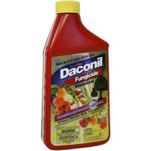 Daconil Fungicide Concentrate for Insects 16 oz. - 100523634