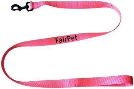 Strong Double Stitched Colorful Nylon Dog Leash, 4 feet (Pink), Set of 2