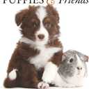 Gladstone Media, Puppies & Friends 2026 Square Wall Calendar