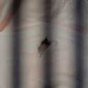 MaoGoLan 47" Giant Axolotl Stuffed Animal,Ultra Soft Salamander Kids Body Pillow Plush,4 Feet Jumbo Throw Pillow Plushie for Axolotl Lover,Home Decor,Gifts