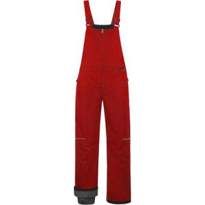 CREATMO US Girl's Snow Bibs Kids Ski Pants Waterproof Insulated Winter Overalls (10-12, Red)
