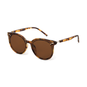 Livho Polarized Sunglasses, Retro & Oversized Shades for Women with Round Lenses
