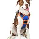 rabbitgoo Dog Harness No Pull with 2 Leash Clips, Adjustable Soft Padded, Reflective Oxford No Choke Pet Vest with Easy Control Handle for Large Dogs, Blue & Orange, L