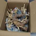 Bonsai Driftwood Aquarium Tree (8in H x 6in L), Handcrafted Fish Tank Decoration | Easy to Install Driftwood Bonsai for Fish Tank | Decor Aquascape Wood (Bonsai Tree)