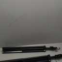 Neewer 75"/6 Feet/190CM Photography Light Stands for Relfectors, Softboxes, Lights, Umbrellas, Backgrounds