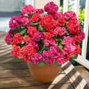 Artificial Geranium Fake Flowers for Outdoors Decoration, 6 Bundles Silk Geraniums Flower UV Resistant Look Real Faux Plants for Front Door Garden Porch Planter Patio Balcony Yard Indoor Home, Mix