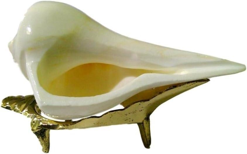 IS4A Dakshinavarti Shank 3.3 to 3.5 Inch with Brass Stand