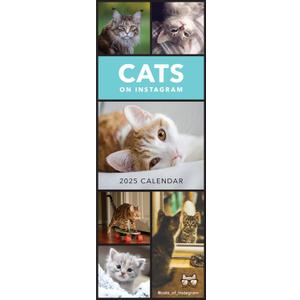 2025 Cats on Instagram Slim Wall Calendar