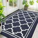 Buganda Indoor Door Mat, Dirt Resistant and Absorbent Entrance Mat, Easy to Clean, Low Profile Inside Floor Mat Doormat for Entryway (59x35 inches, Navy Blue)