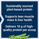 Life Extension Wellness Code Plant Protein Complete & Amino Acid Complex (Vanilla), Plant-Based Protein Powder Plus branched-Chain Amino acids, Gluten-Free, Non-GMO, Vegetarian, 450 Grams
