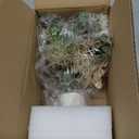 Mkono Small Artificial Flowers in Ceramic Vase 13.5" Centerpieces Coffee Table Decor, Silk Flower Arrangements for Home Decor Indoor Fake Flower Bouquet for Bathroom Dining Room Kitchen Wedding Pink