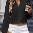 Womens Tops Dressy Casual Sheer Long Sleeve V Neck Shirts Loose Flowy Chiffon Business Work Blouses (Black, XXL)