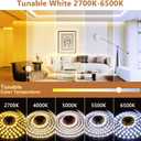 Wefomey White LED Strip Lights, 100ft Dimmable Bright 24V Led Tape Light with Remote and App Control, 2700K-6500K White 1440 LEDs Lights for Bedroom, Kitchen, Ceiling (1 Rolls of 100ft)