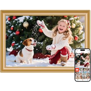 Frameo 10.1 Inch WiFi Digital Picture Frame, 1280x800 HD IPS Touch Screen Photo Frame Electronic, 32GB Storage, Auto-Rotate, Wall Mounted, Share Photos/Videos Instantly from Anywhere - Gold