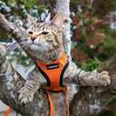 rabbitgoo Cat Harness and Leash for Walking, Escape Proof Soft Adjustable Vest Harnesses for Cats, Easy Control Breathable Reflective Strips Jacket, Orange, S