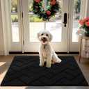 hicorfe Front Door Mat Outside Entrance,32"x40" Absorbent Muddy Dirt Resist Welcome Door Mats Outdoor Indoor,Stain and Fade Resistant,Non Slip Backing Entry Mat Doormat for Entryway(Black)