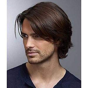 Kaneles Mens Wigs Short Brown Straight Hair Natural Daily Costume Heat Resistant Synthetic Wigs for Male Buy (Brown Hair)