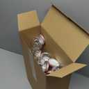 Hsei 48 Pcs 4 oz Clear Plastic Jars with Lids Wide Mouth Mason Canning Jars Mini Storage Containers Bulk for Herb Jelly Wedding Favors Shower Party (Rose Gold)