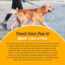 Prong Collar for Dogs - Adjustable Pinch Collar with PVC Coated Strap & Stainless Steel Chain - Safe Dog Training Prong Collar for Large Dogs - Choke Collar with Soft Rubber Tips (Orange)