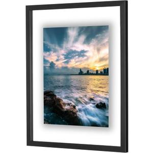 ONE WALL 16x20 Inch Floating Frame, Black Wood Double Glass Float Picture Frame Display 16x20/11x14 Inch Photos or Plant or Petal Specimens for Wall Hanging - Mounting Accessories Included