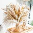 100PCS Natural Dried Pampas Grass Boho Home Decor Bouquet Phragmites Dried Flowers Bouquet for Wedding Floral Arrangements Home Decorations (100PCS)