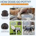 Stretchy Dog Surgery Recovery Suit with Rear Leg Sleeve to Stop Licking, Elasticity Dog Recovery Suit for Large Dogs, Lick Sleeve for Dogs Rear Leg, Surgery Suit for Dogs Female After Spayed, Gray 3XL