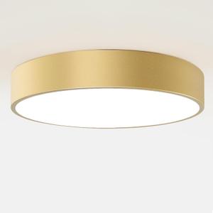 15.8 Inch Gold Flush Mount Ceiling Light,Elegant 3-Light Fixture
