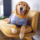 Dog Recovery Suit After Surgery Female Male,  Dog Neuter Shirt Cone Alternatives Prevent Licking Surgical Onesies (Grey Shark, 4XL) 
