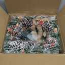 20 Inch Christmas Wreath - Christmas Front Door Wreath Ornament with LED Lights Pinecone Berries Artificial Pine Garland for Party Table Fireplaces Porch Walls New Years Home Decor