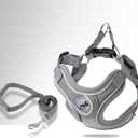Dog Harness with Leash Set, Puppy Harnesses with Breathable Padded for Small Dogs Training and Running(XS, Gray)