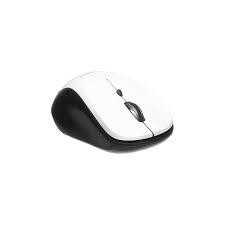 Computer Mouse
