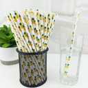 2 x YAOSHENG Premium Disposable Drinking Fruit Paper Straws, Pack 100 Pineapple Paper Straws for Cocktail Party Supplies,Birthday,Bridal/Baby Shower,Juice,Shakes (Pineapple)