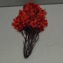 JAKY-Global 9pcs Babys Breath Artificial Flowers Gypsophila Bouquet Bulk Fake Spring Silk Small Flowers Real Touch Faux Floral for Home Bedroom Kitchen Garden Wedding Christmas Party DIY Decor (Red)