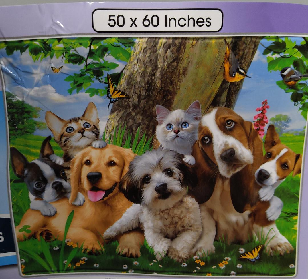 50x60-Inch Backyard Pals Dogs and Cats Blanket - Soft Plush Animal Print Blanket for Adults and Kids - Soft and Cozy for Bed, Couch, or Travel - Thoughtful Gift for Animal Lovers