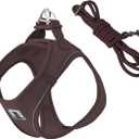 Adjustable Dog Harness with Leash, Reflective Mesh, No-Pull DesignMatching Lead Rope (Brown, M)
