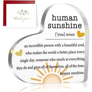Fall Thank You Gifts for Women, Inspirational Quotes Gifts, Human Sunshine Gifts, Motivational Gifts, Appreciation Gifts for Teacher Friends Coworkers Doctor Nurse, Acrylic Desk Sign Decor (S1)