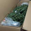 National Tree Company 6.5 ft Pre-Lit Dunhill Fir Artificial Christmas Tree, 650 Clear Lights, 1,838 Tips, Includes Stand, Green