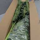 FOREST PRINCE 42" Artificial Boston Fern Large Bush Plants, 2 Bundles of Fake Ferns with 65 Fronds for Outdoors Home Decor